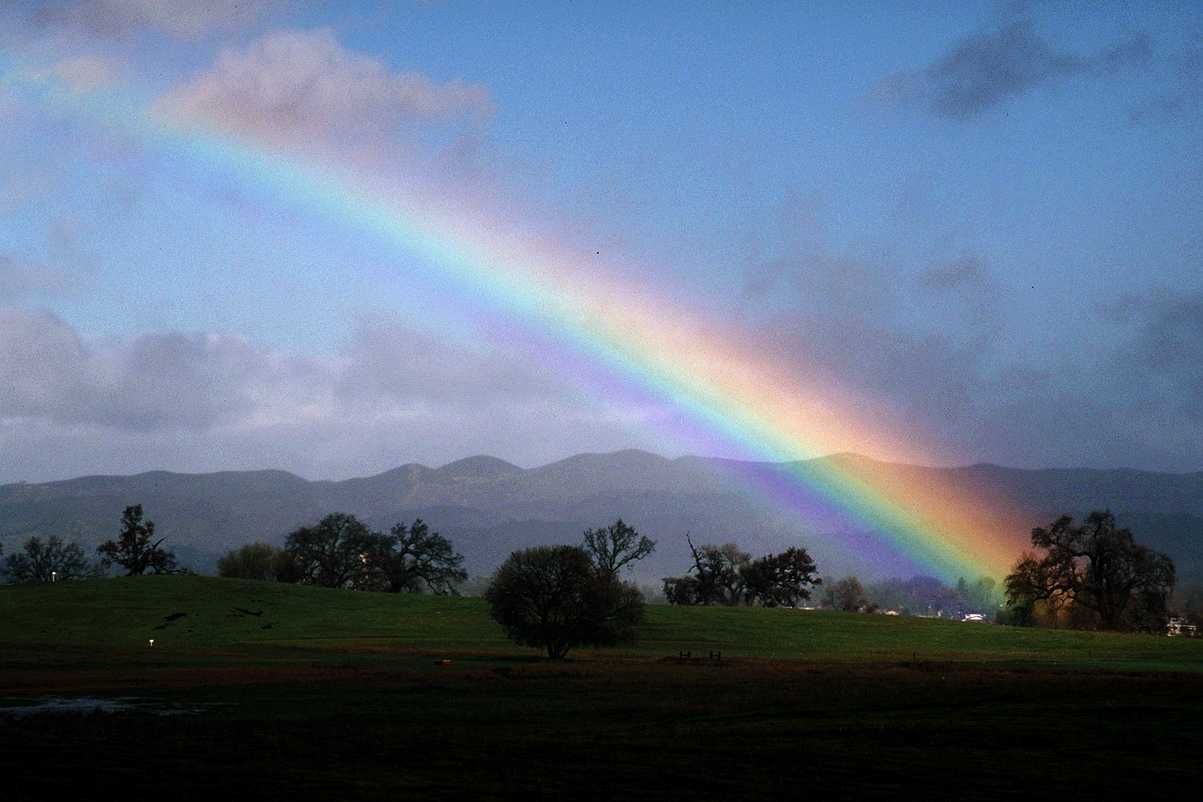 Rainbow